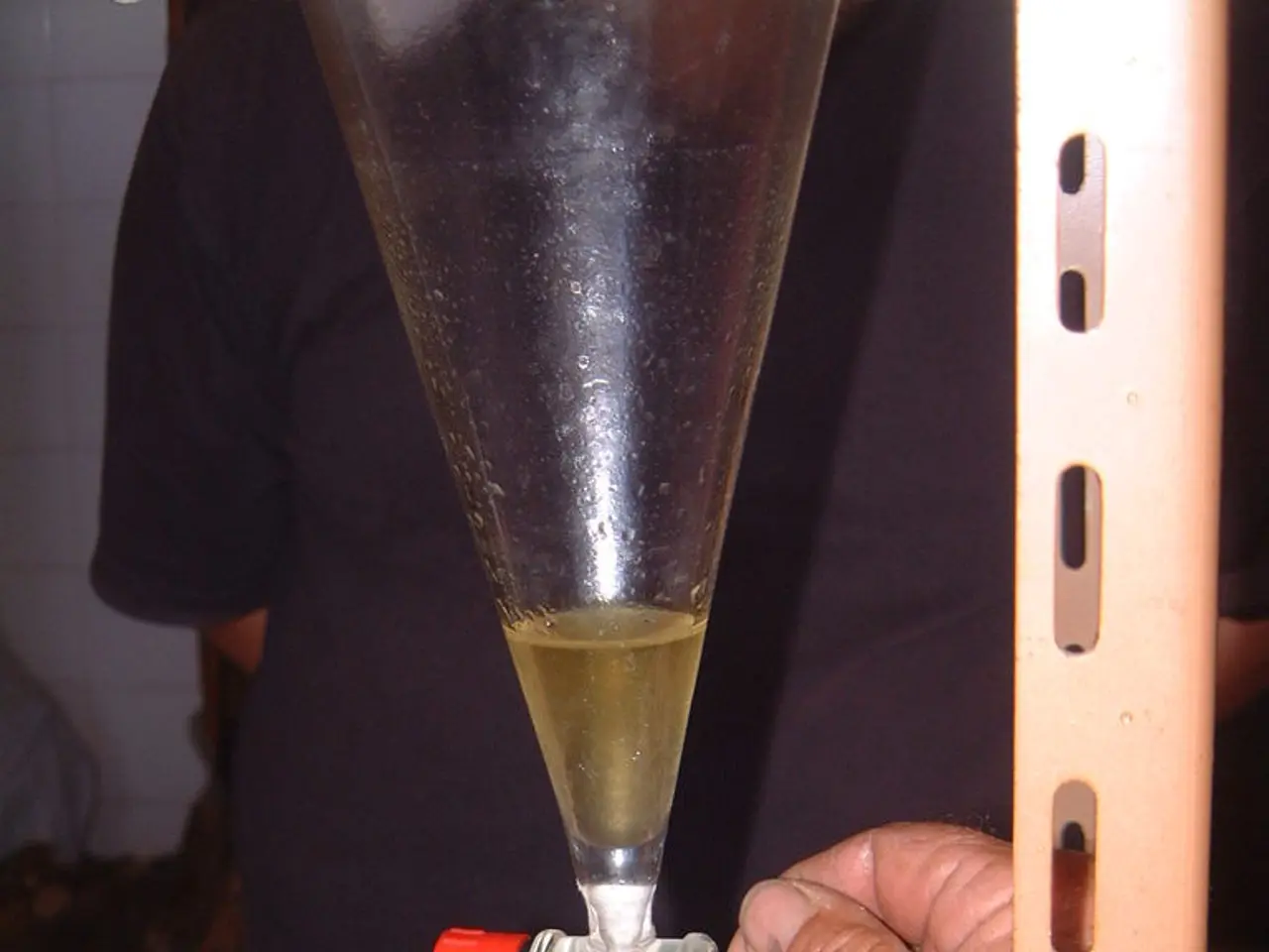 Comprehensive Handbook on Utilizing Malted Barley for Brewing Processes