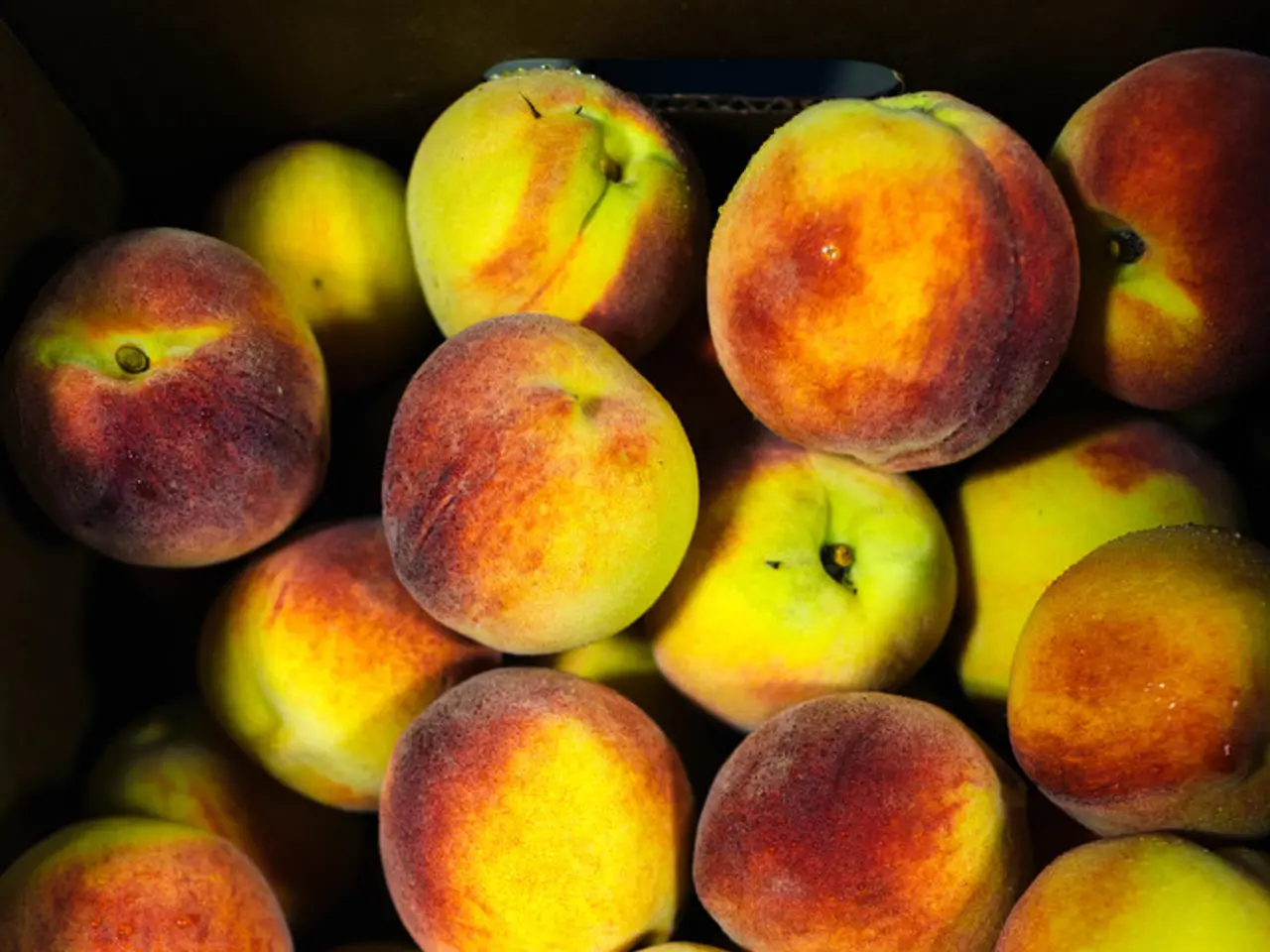 Hidden Risks to User Data in Apple's App Marketplace