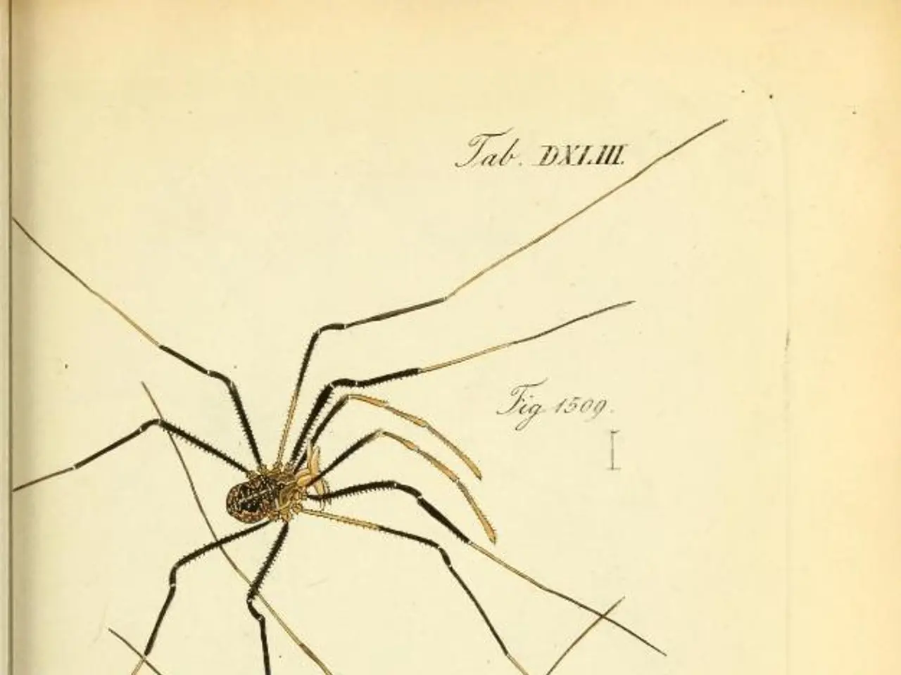 Exploring the hidden facets of malicious software and methods to detect it