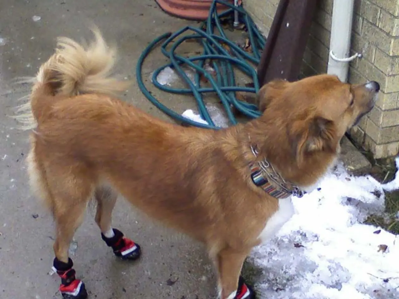 Cryptocurrency platform, Thumzup, appoints Jordan Jefferson to its Crypto Consultation Squad