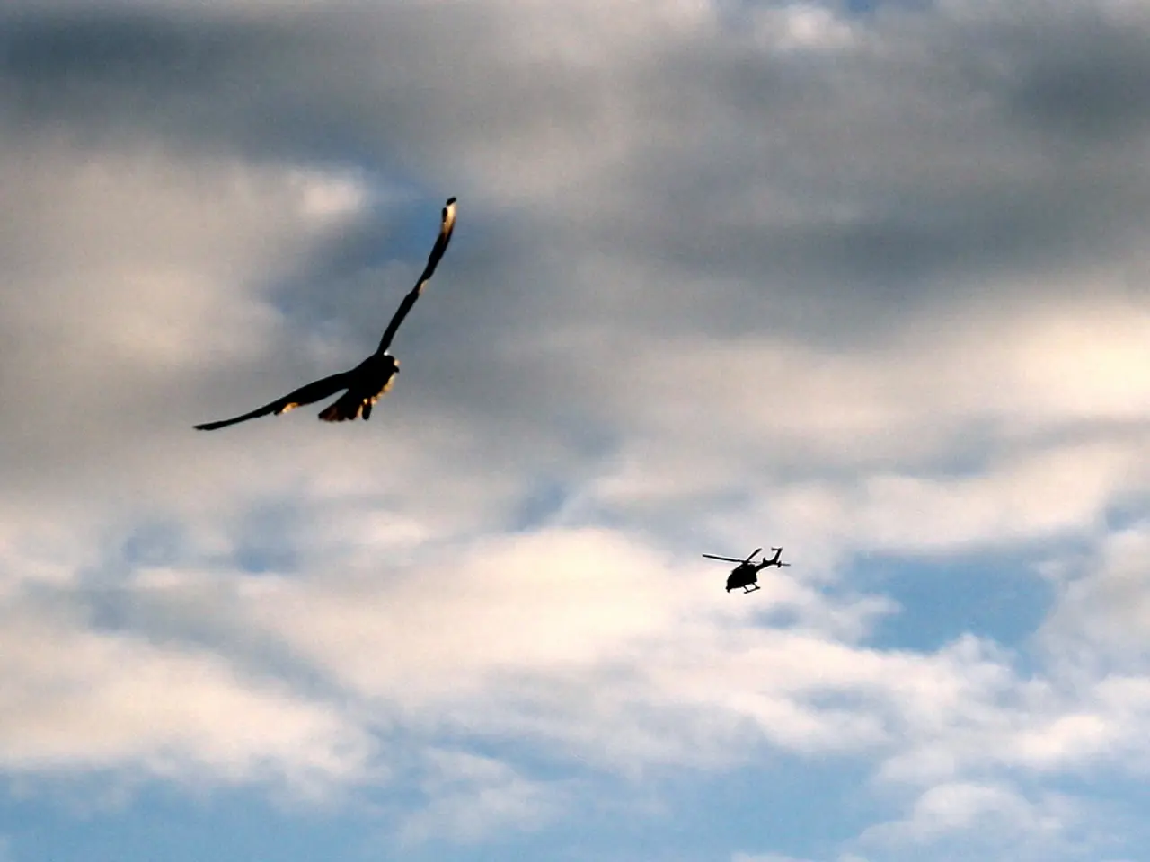 In this image we can see a helicopter and a bird flying in the sky.