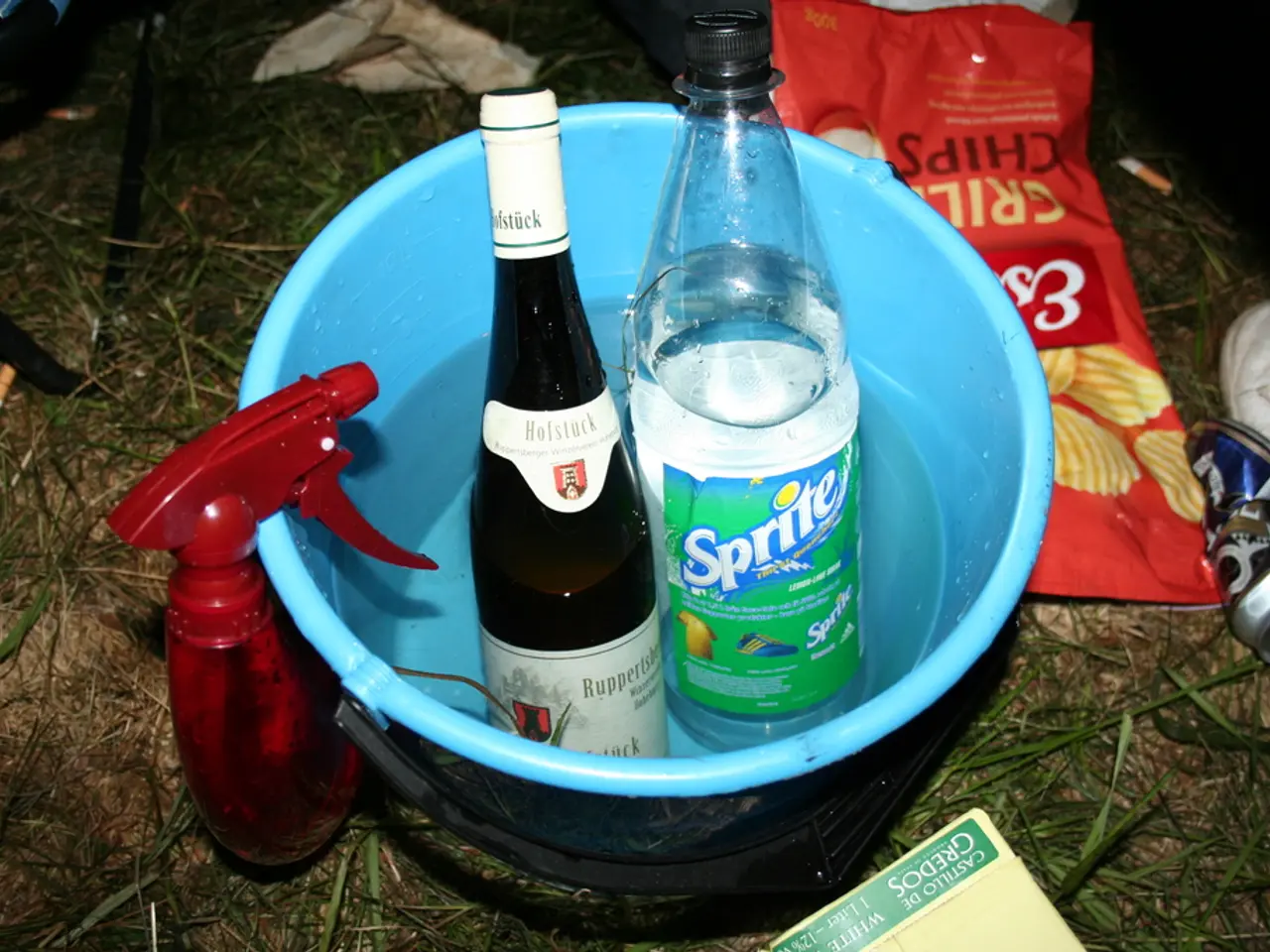 There are 2 bottles in a bucket full of water,Beside it there is a chips packet,crushed tin and a...