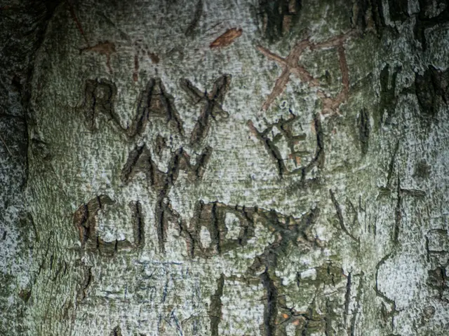 Electrical Vehicle Journey: Reportedly Covering Over 600 Kilometers on a Single Charge with a...