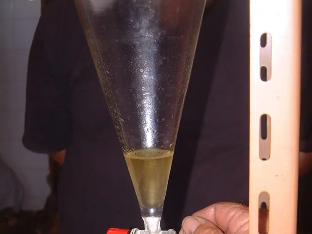 Comprehensive Handbook on Utilizing Malted Barley for Brewing Processes