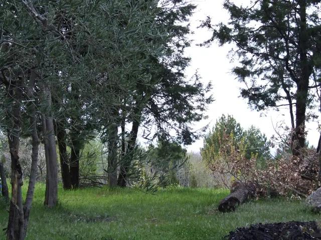 Connecting RockREMOTE Mini to CR1000 Data Logger for Data Collection