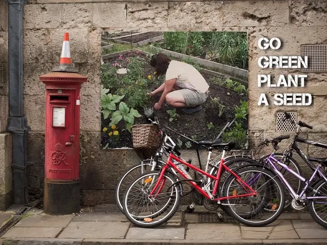 Delivery Personnel in St. Petersburg and Moscow ensure secure transit of their packages.
