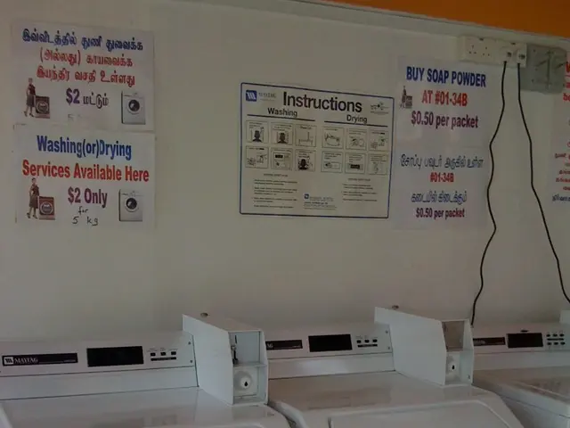 Boosting Revenues: An Insight into the Recognized FXGT.com Affiliate Program