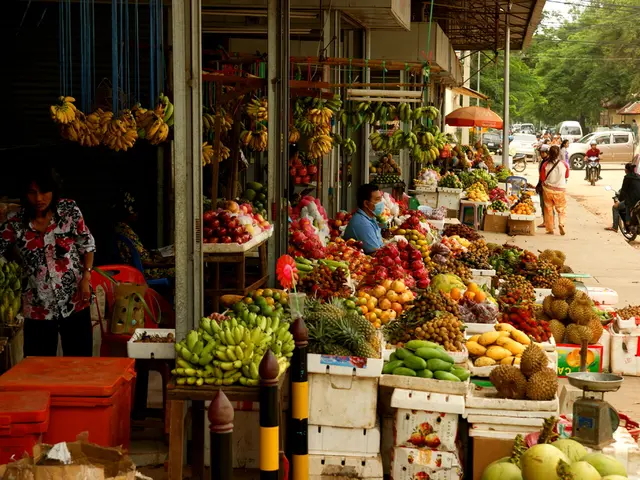 Transform Your Business with Data-Driven Insights Through Redash