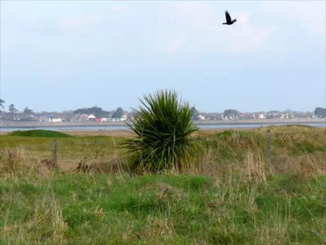 Drone Insurance Comprehensive Protection: Key Elements to Consider