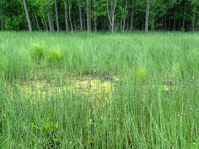 Regenerative Agriculture Technologies: Vital Aid or Superfluous Interference?