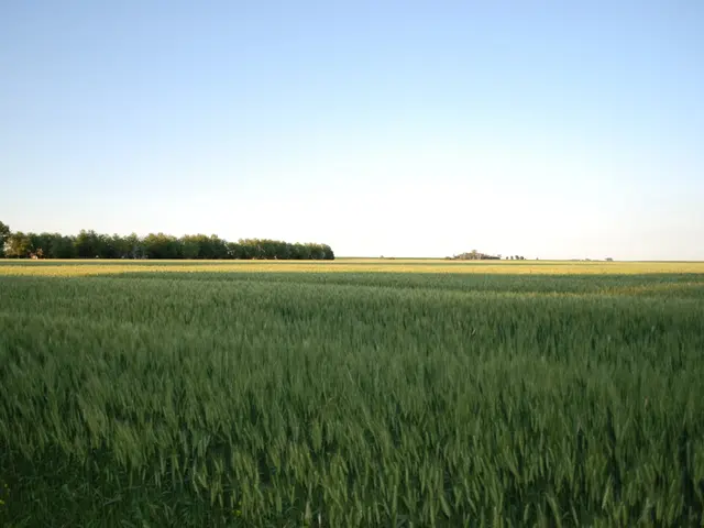 Accelerate policy-making and reduce bureaucratic obstacles, the summit will discuss