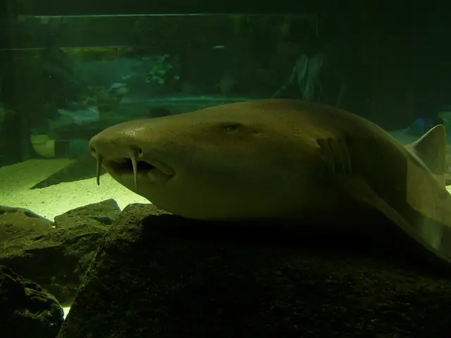 Navigating Taxation Errors and Effective Prevention Strategies