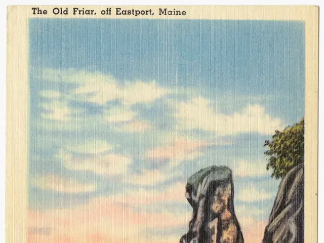 Fostering Innovation: Cultivate a Disordered Environment for Fresh Ideas to Thrive