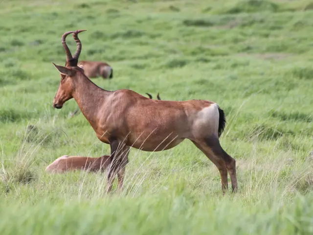 Robot numbers escalated by 45%