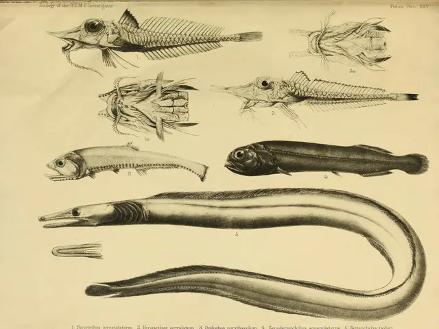 Human Intelligence Didn't Outshine Neanderthals; Instead, We Survived Longer Than Them
