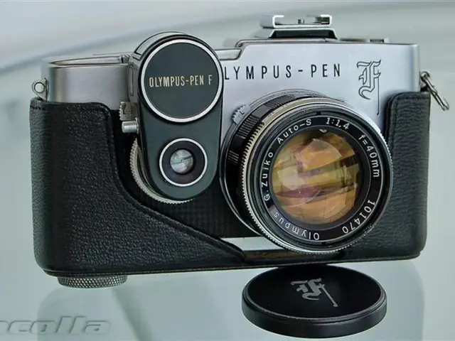 Underwater Exploration with Sony a6600: Initial Impressions