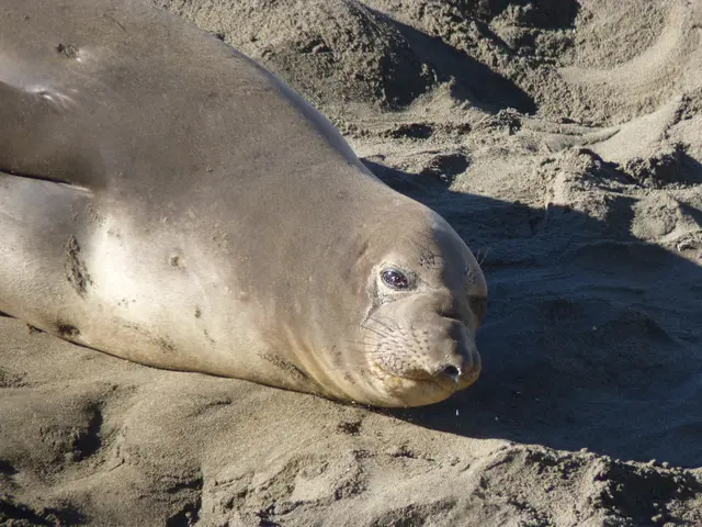 Obtaining and Attaching the EPREL Electronic Seal: A Guide