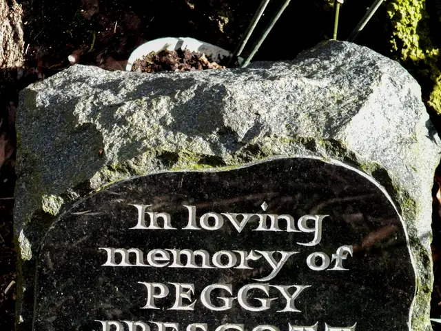 News Digest: Stone Discovered in Indonesia Identified as Rare Bumble Bee Fossil