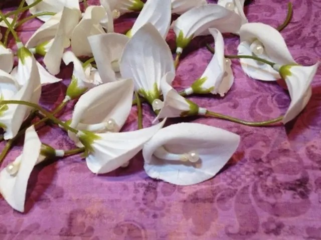 Top 15 Robust Vegetation Barrier Materials for Long-Lasting Garden Defense