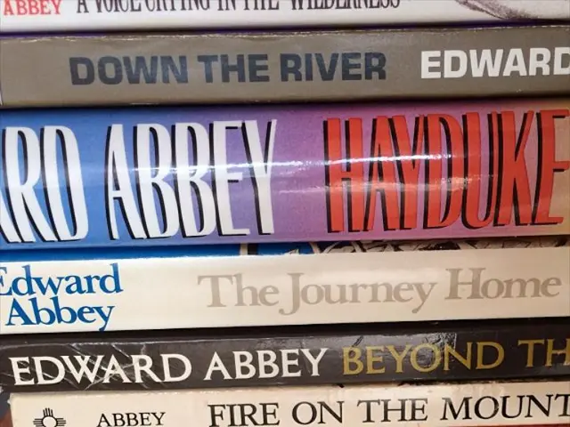 2022 Blueprint for Radio-Integrated E-Book Readers: Amazon, Barnes & Noble, Kobo, Onyx, Remarkable