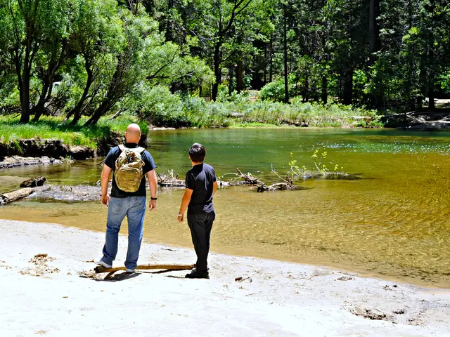 Stablecoin issuance warning issued by Bank of England Governor, according to a recent report