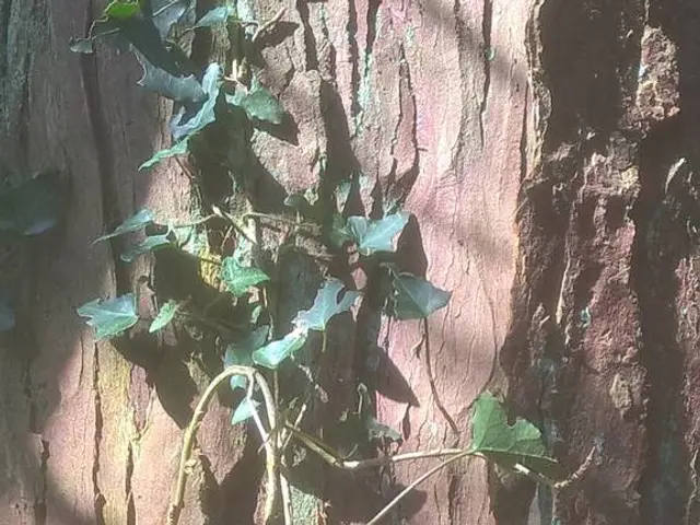 Microsoft addresses security vulnerabilities in SharePoint 2019 and Server version