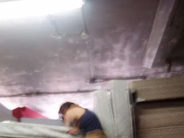 Ubuntu Linux users rejoice: Revived backup tool Rescuezilla is now available across six different...