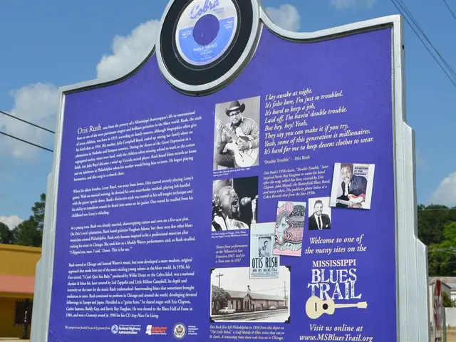 Off-Grid Evaluation: Assessing HMD's Performance