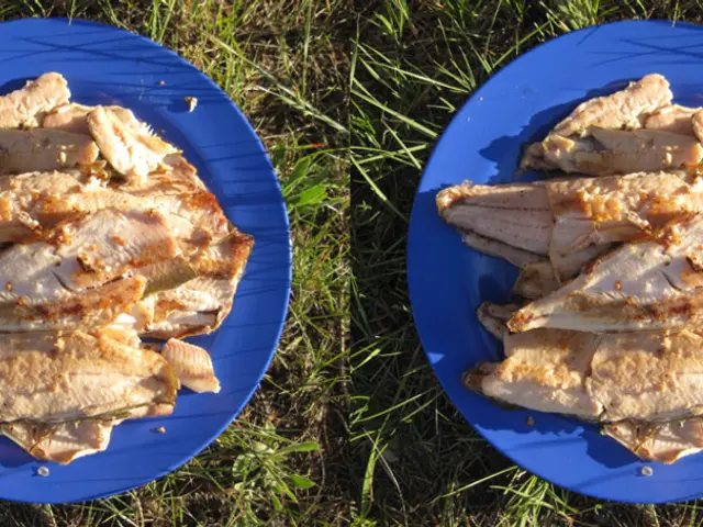 What's the Priciest Kind of Meat: Kobe, Wagyu, or Iberico Ham?