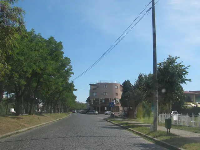 "Cookies employed by Autovista24 enhance user encounters"