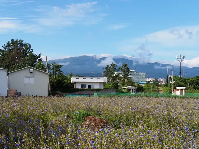 Solar energy storage systems from Sunrun are supporting Puerto Rico's power grid by supplying power...