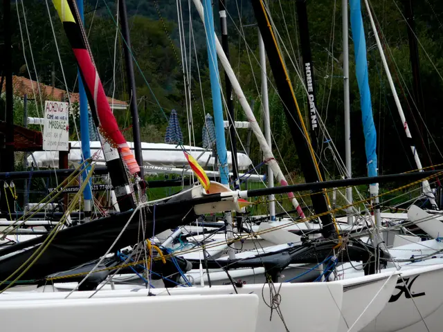 Technical Blueprints or Design layouts