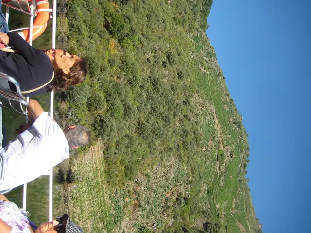 Transforming Landscapes of Global Travel Industry