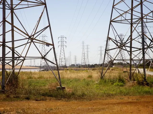 Enhanced Mobile Phone Network Quality in Harz's District, Courtesy of Telekom