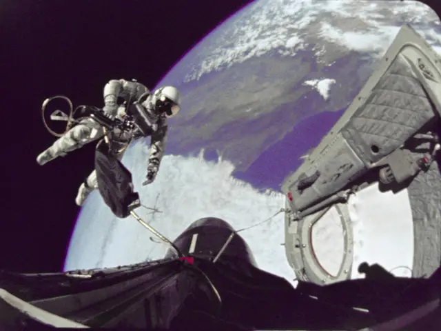 Exploring the Orbits of Satellite Cemeteries