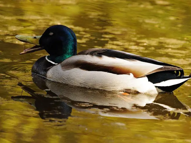 Top Cryptocurrencies for Investment: Which Cryptocurrency is Worth Buying Currently?