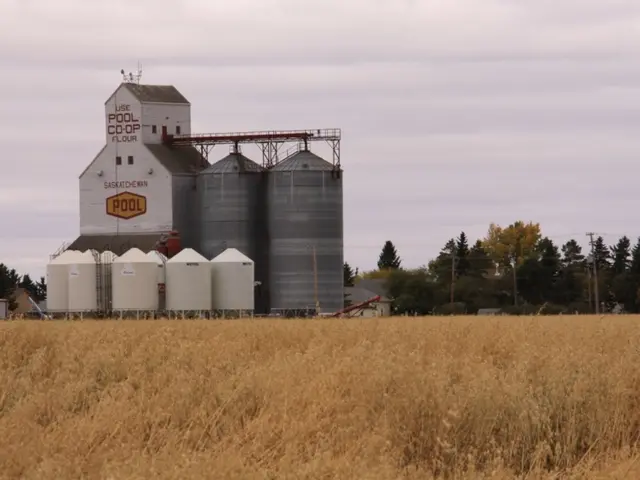 Offshore hydrogen production facility for synthetic fuels inaugurated under the guided direction of...