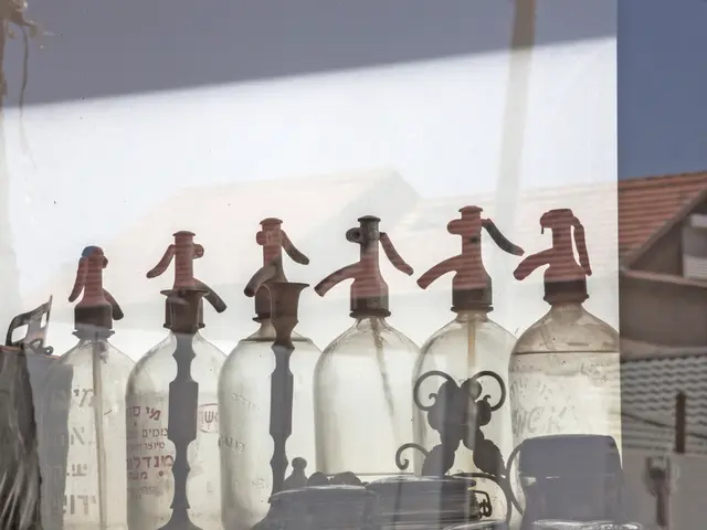 Python's Utilization of Environment Variables