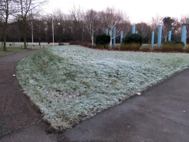 MTN Zambia to Offer Starlink Internet Services for Enhanced Rural Internet Accessibility