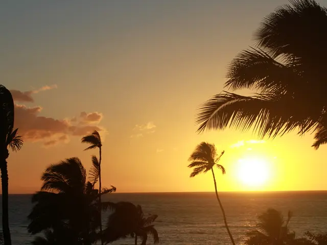 Two climate orbiting satellites unintentionally detect Venus, resulting in Venusian weather...