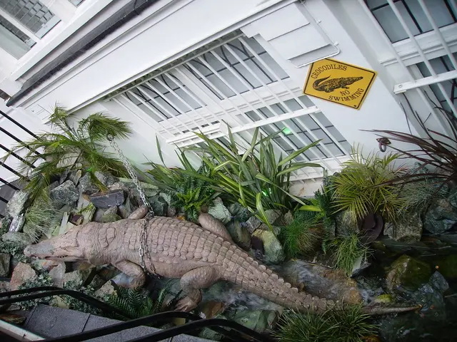 Africa's digital power requires united intercontinental measures to safeguard Africa's digital...