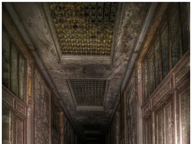 The imminent struggle facing developers: crafting robust privacy solutions