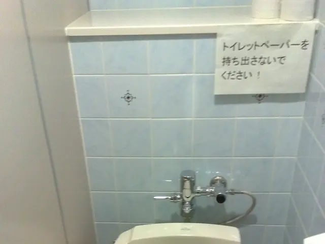 Considering a Japanese-style toilet for your home renovation? Weigh the benefits, such as sleek...