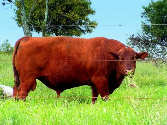 Cryptocurrency Alert: Potential Peril Lurking for XRP, Ethereum's (ETH) Unchecked Growth Persists,...