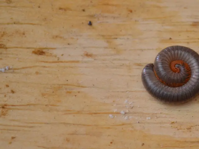 Streamlined Data Population via SQL's Multiple Value Insertion