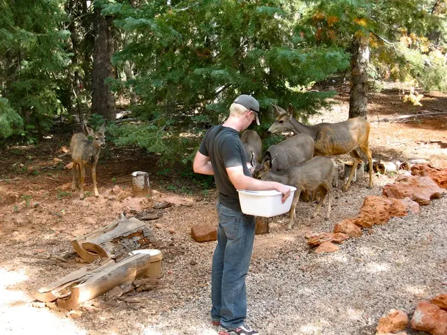 Capcom issues a heightened warning, expediting the release of a significant Monster Hunter Wildspur...