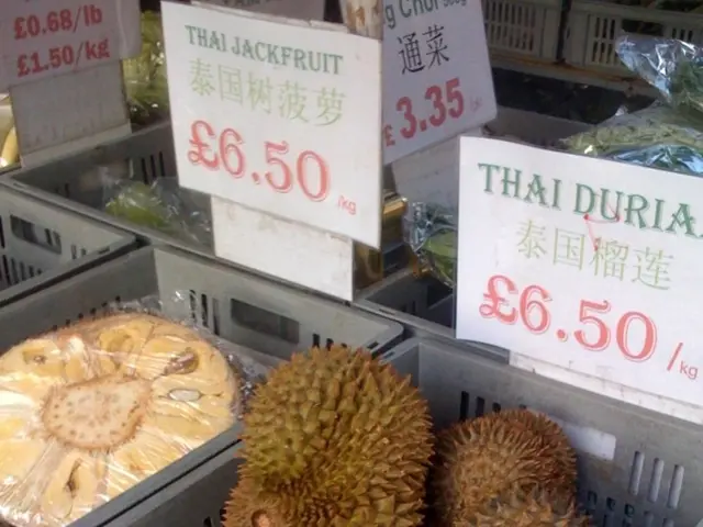 Rapid Growth Projected for Edible Films and Coatings Market with a Compound Annual Growth Rate of...