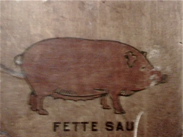 Fraudulent Gaming Websites Unveiled: Deception Involving Falsified Endorsements from MrBeast and...