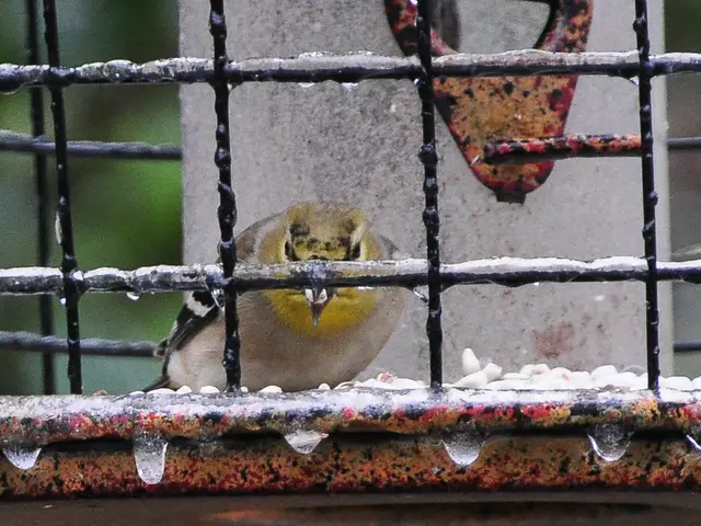 Stock Prices of Affirm, Upstart, and Nu Holdings Plummeting Today