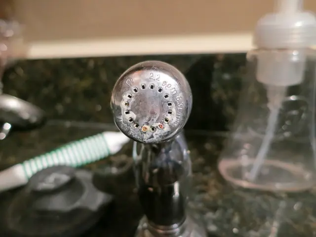 "Climate-friendly Heating: Stiebel Eltron Advocates for a Forward-Looking Strategy Involving Heat...